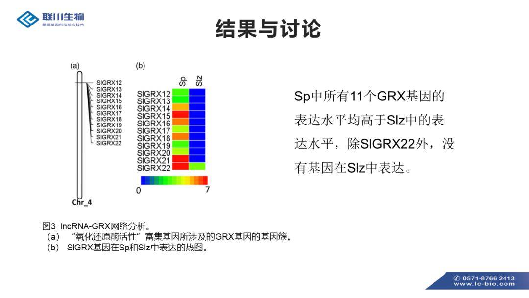 看香港精准资料免费公开,调整方案执行细节_豪华款43.124