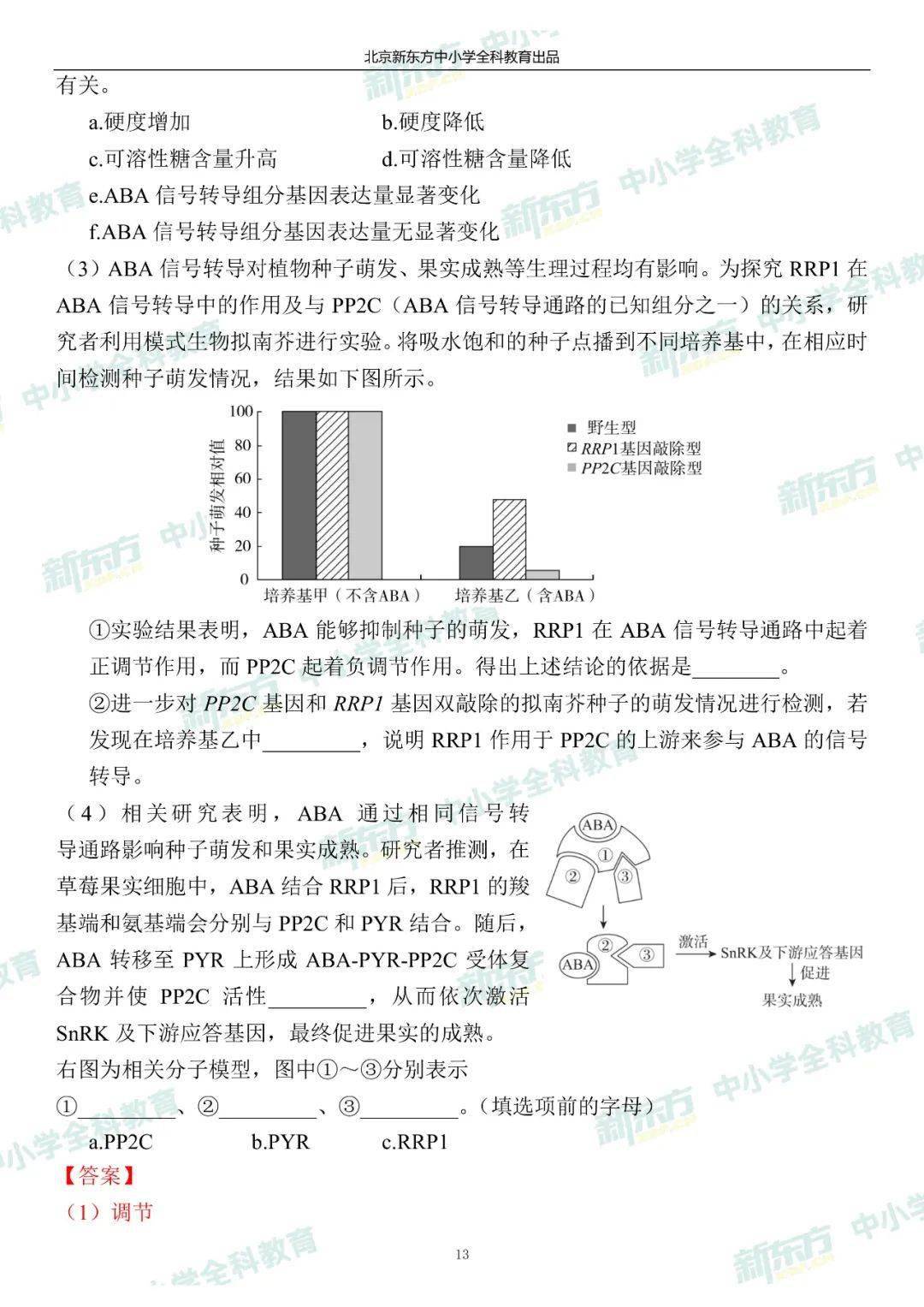 澳门一码一肖一待一中四不像,定性解答解释定义_win305.210