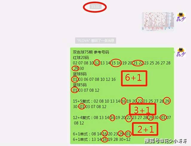 白小姐今晚特马期期准六,全面计划解析_精装版35.362