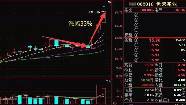 濠江论坛澳门资料2024,深入分析解释定义_尊享款70.404