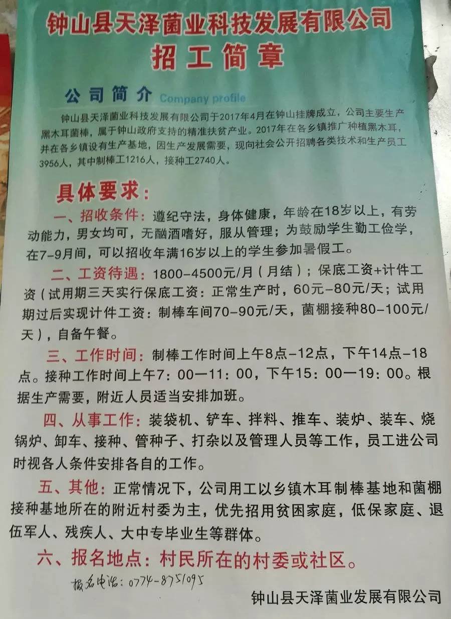 岳山村最新招聘信息全面解析