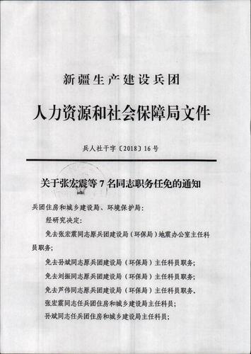 甘井子区小学人事任命揭晓，未来教育新篇章的引领者