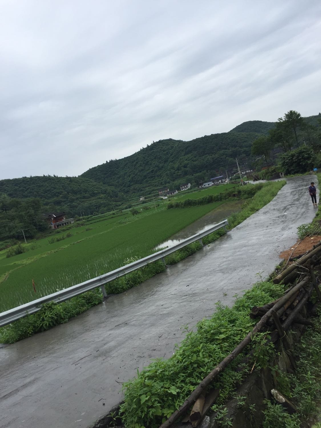 老庄河村委会天气预报更新通知