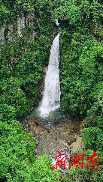 炎陵县桃源洞管理局天气预报更新通知