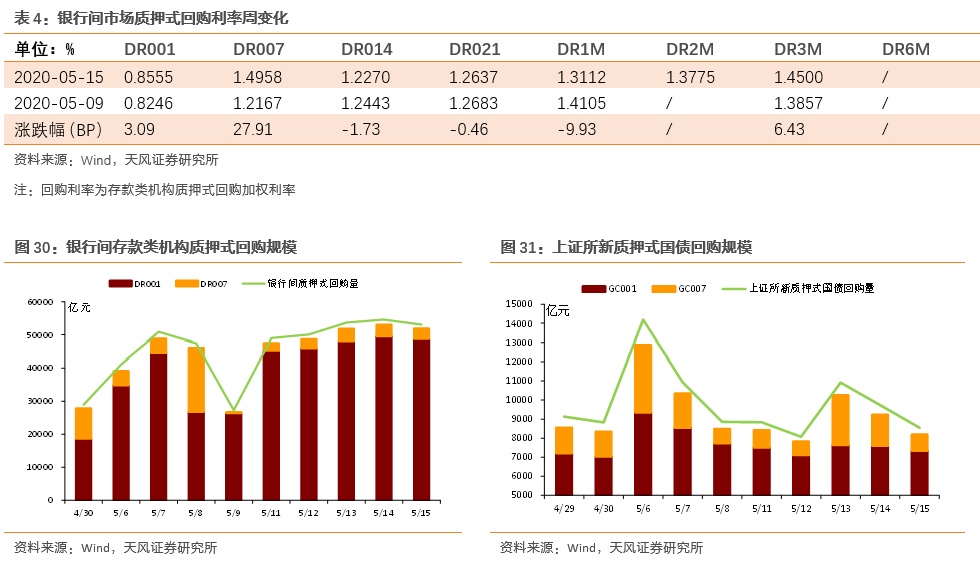 2024年新奥开奖结果,全面执行分析数据_WP91.916