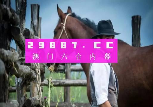 澳门今晚必开一肖一码新闻,适用设计策略_视频版94.349