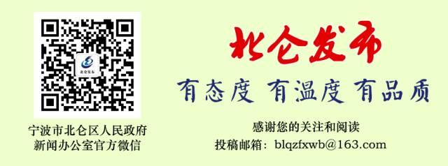 二四六香港资料期期准使用方法,专业执行解答_标准版12.175