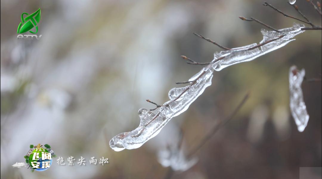 祥华乡新领导团队引领开启发展新篇章