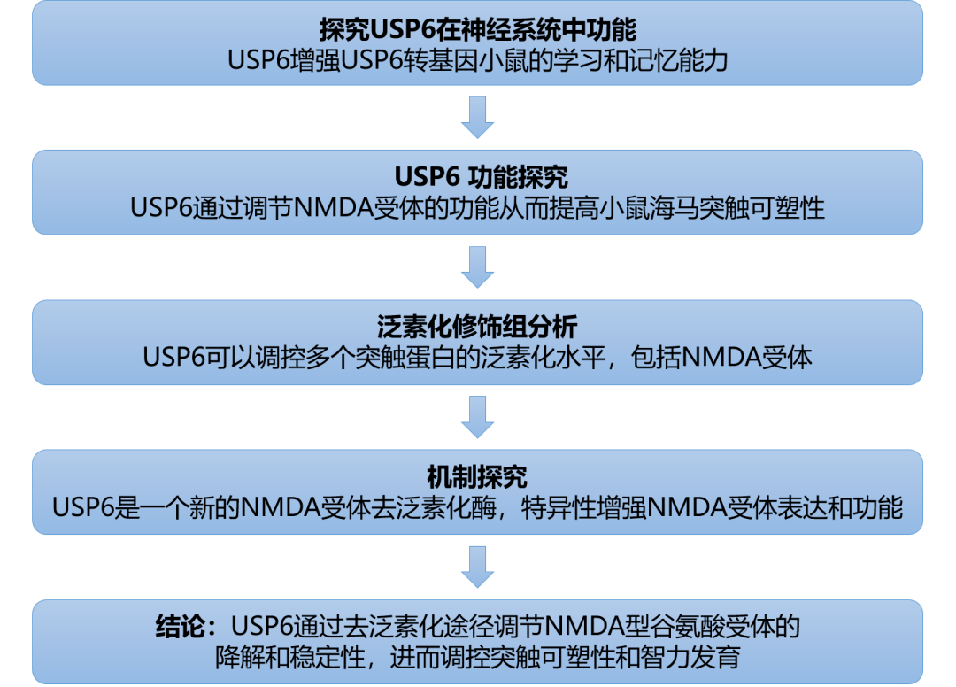 118免费正版资料大全,高度协调策略执行_W29.131