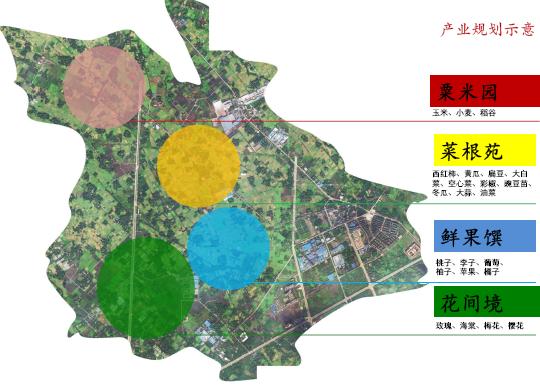 天宁区农业农村局最新发展规划，塑造乡村崭新未来