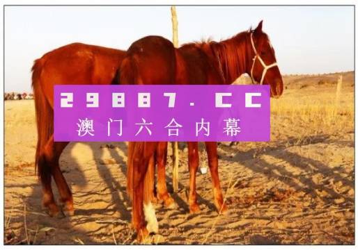 澳门六今晚开什么特马,经典案例解释定义_N版66.916