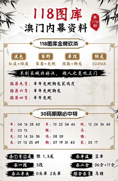 新澳门王中王100%期期中,完善的执行机制解析_手游版2.686