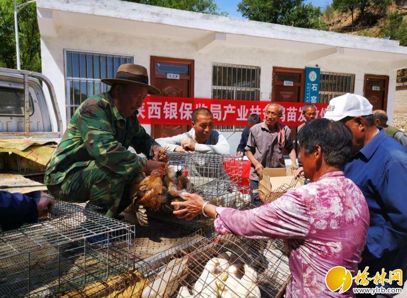 佳县住房和城乡建设局最新项目概览