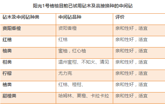 新澳门49码每天开奖吗,实地解析说明_AR版89.810