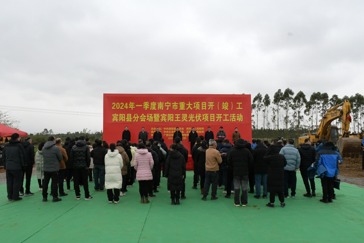 阳圩镇最新项目，地区发展的强大引擎驱动力