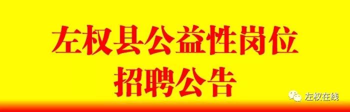 2024年12月10日 第13页