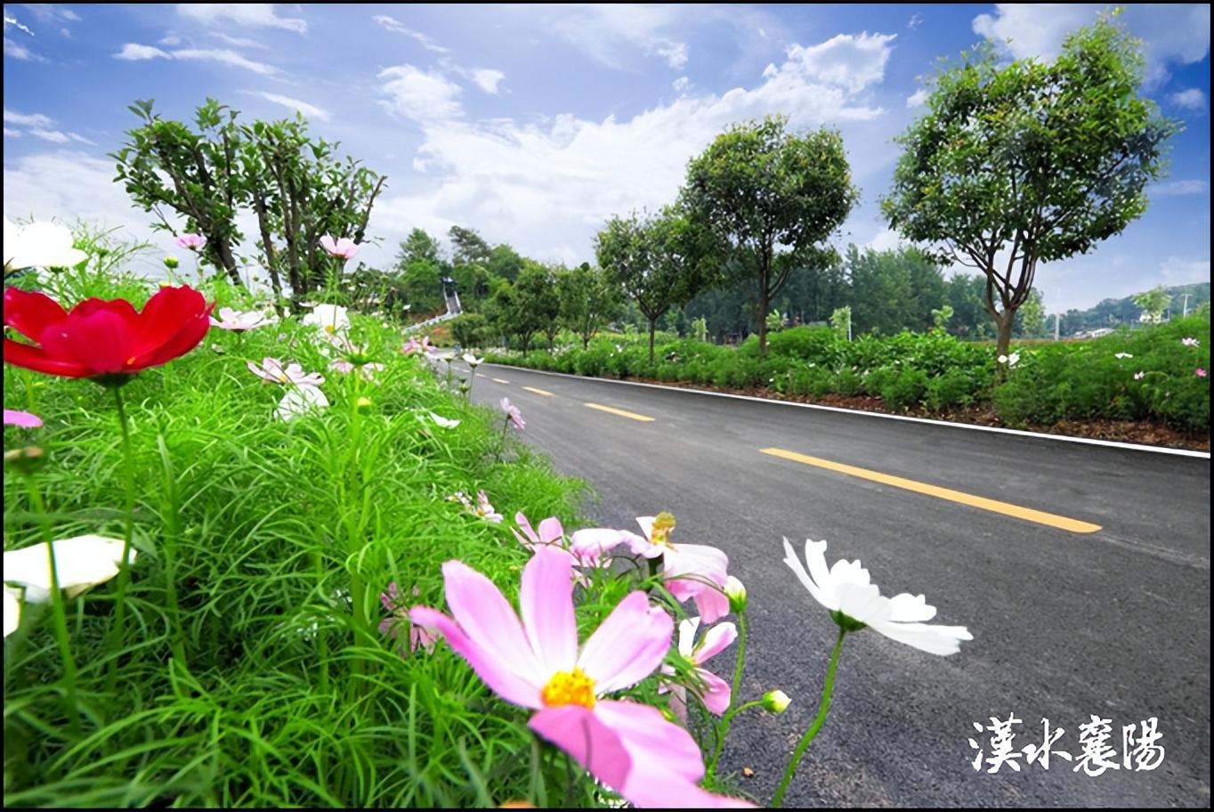 七路街道新任领导概况介绍