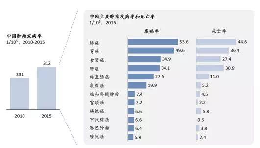 三中三免费资料,精准实施解析_影像版65.139