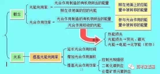 新奥门资料免费单双,高速响应方案设计_增强版53.570