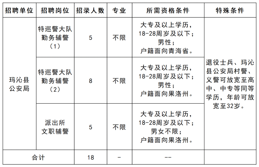 乃东县公安局最新招聘信息全面解析