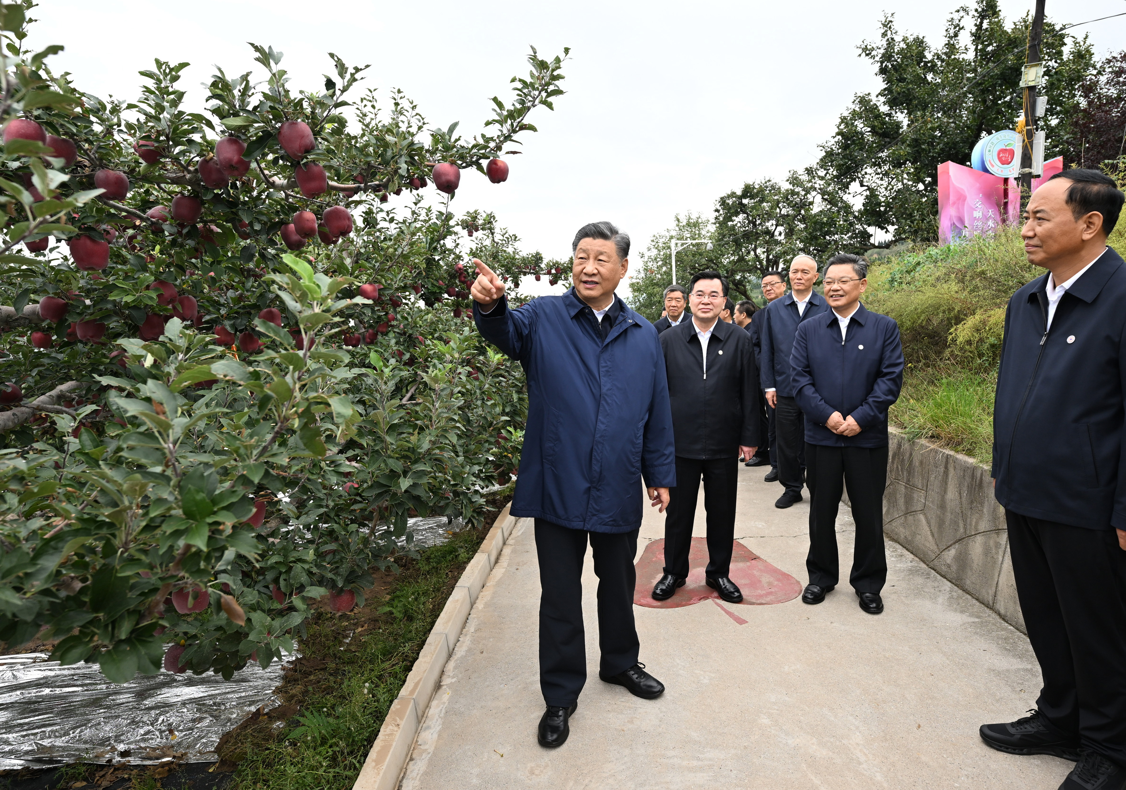 花寨子村委会最新动态报道