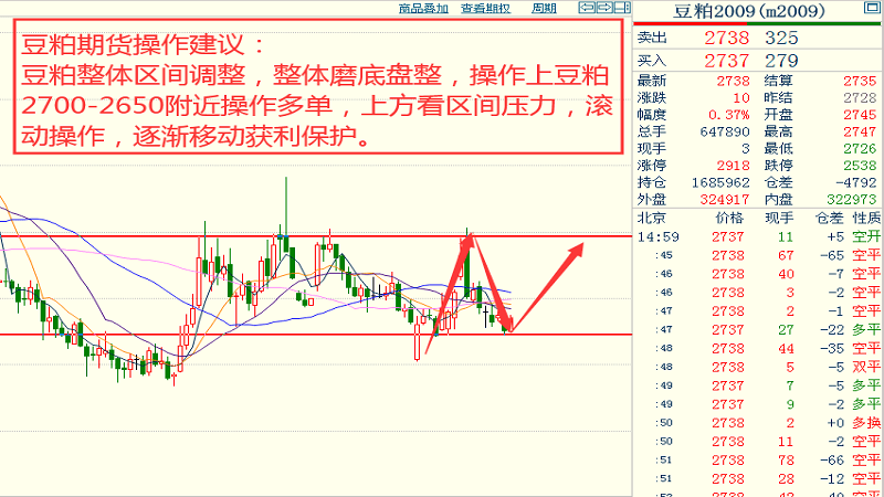 2024澳门特马今晚开奖63期,实地分析数据执行_Pixel81.126