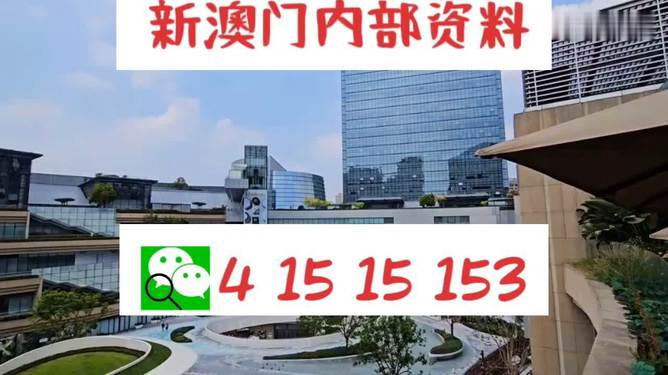 新澳门一码中中特,资源整合策略实施_DP33.534