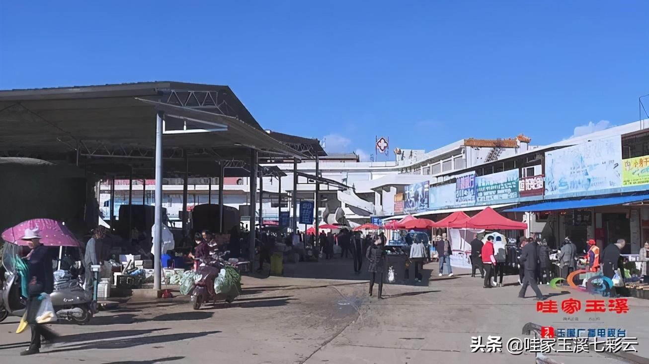 通海县卫生健康局发展规划，构建健康通海新蓝图