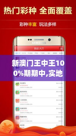 澳门王中王100%期期中,实地解答解释定义_特供版171.315