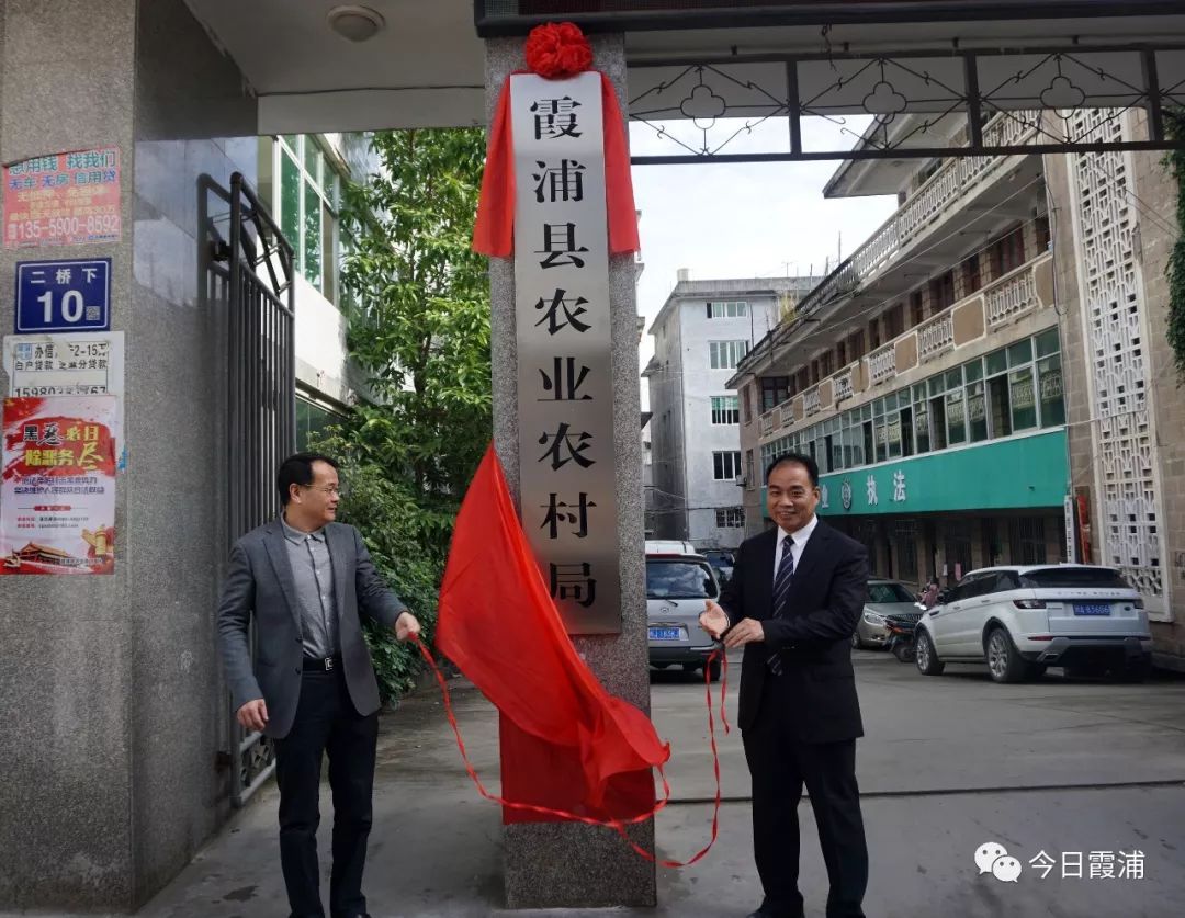 巴彦县发展和改革局最新项目概览