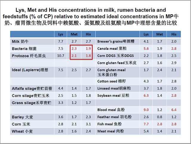 新澳天天开奖资料大全最新54期,稳健性策略评估_Prime33.801