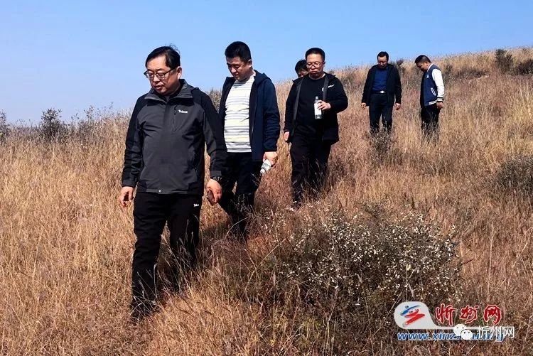 山西省忻州市忻府区高城乡最新项目，推动地方经济转型升级的关键引擎