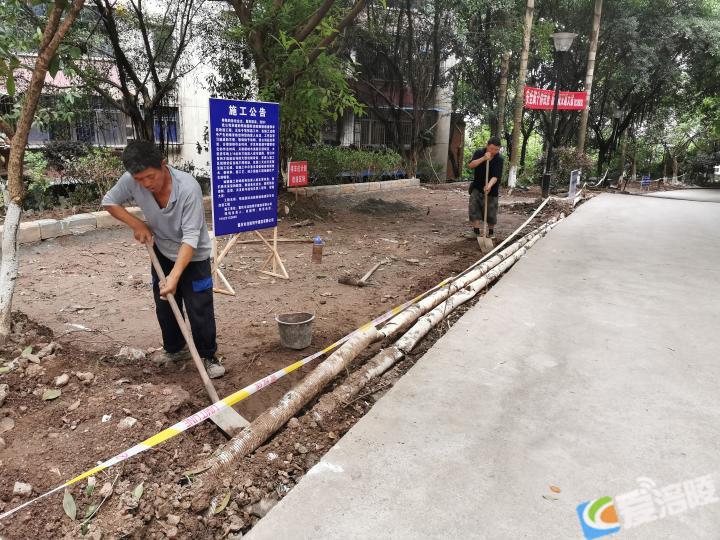 敦仁街道新闻动态，城市发展与社区生活变迁同步更新