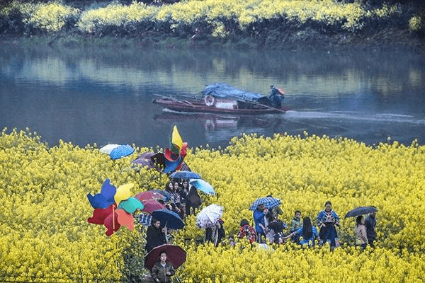 潭溪镇新项目，引领地方发展的璀璨明珠之光