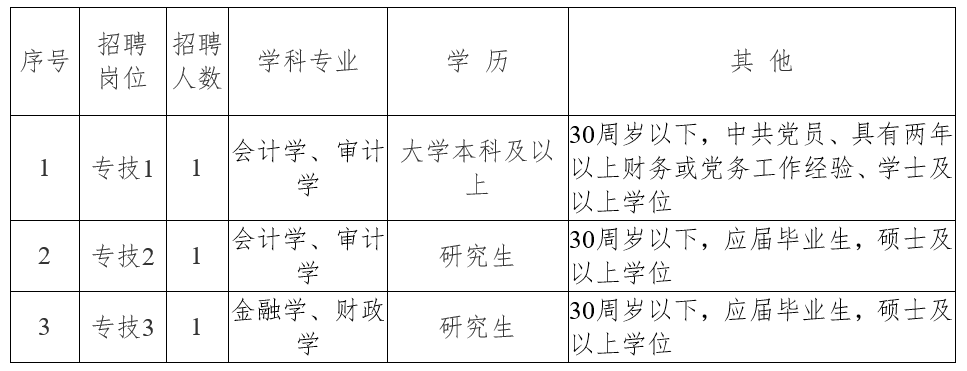 天宁区审计局招聘启事概览