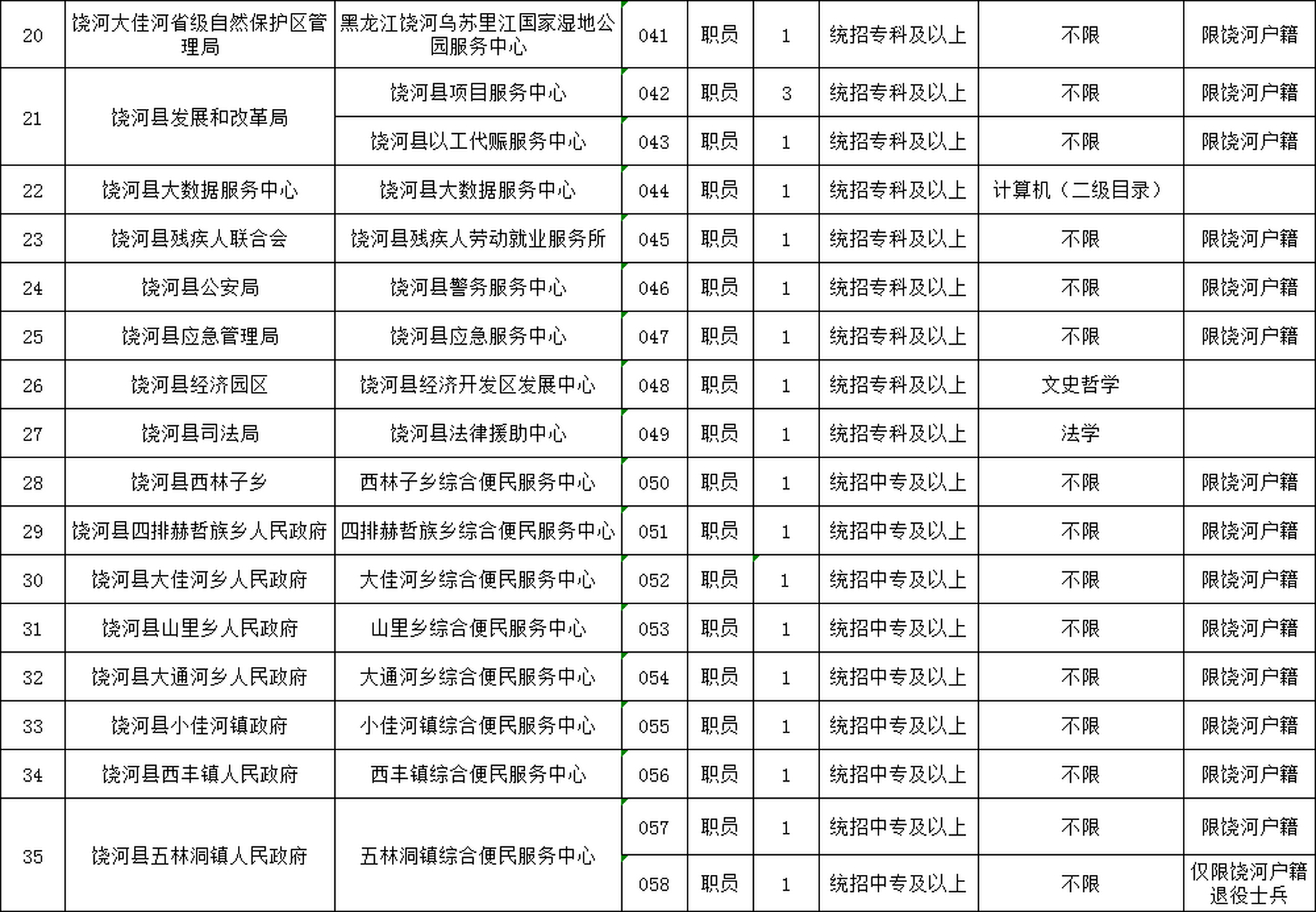 肇源县数据和政务服务局最新招聘公告详解