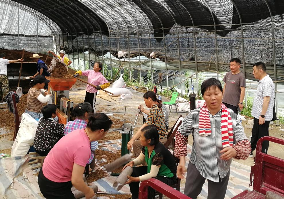 年扎村最新项目，乡村振兴的新动力