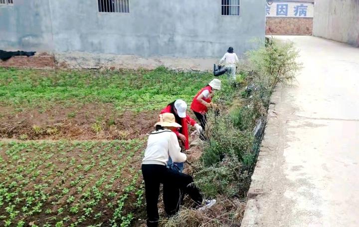 电厂路街道新项目启动，重塑城市未来面貌