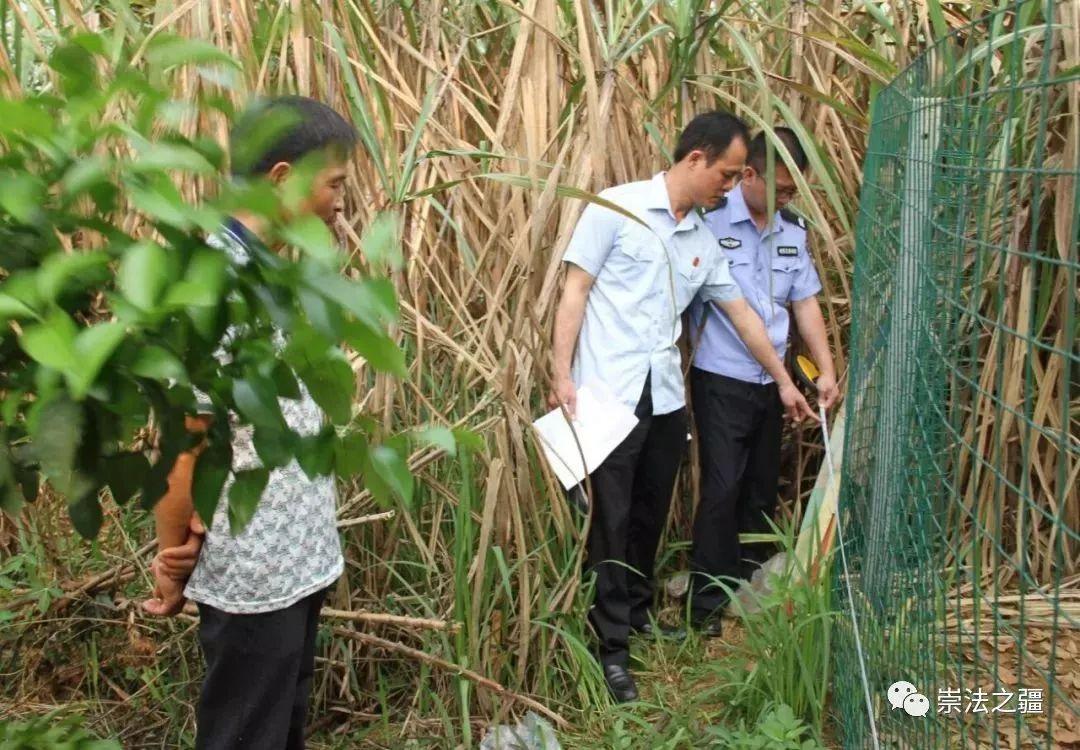 大新县自然资源和规划局最新动态报道