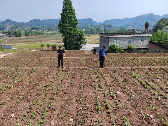 弥渡县农业农村局新项目推动农业现代化与乡村振兴深度融合发展