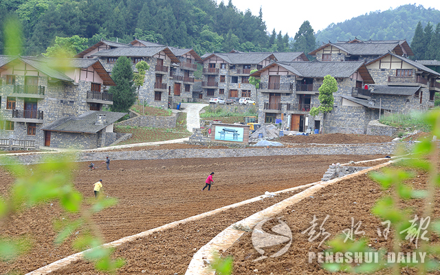 万足镇新星项目引领地区发展之路