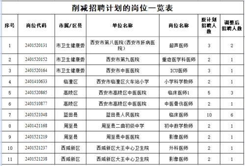 怀宁县托养福利事业单位发展规划展望