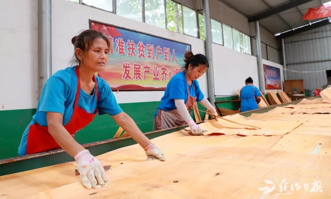 谢旗营镇领导团队最新调整，引领地方发展的核心力量