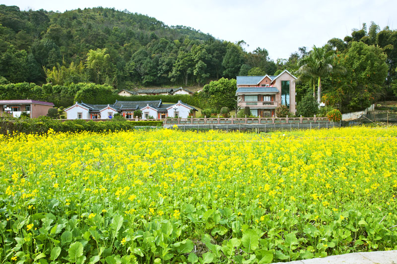 黄竹村最新天气预报通知