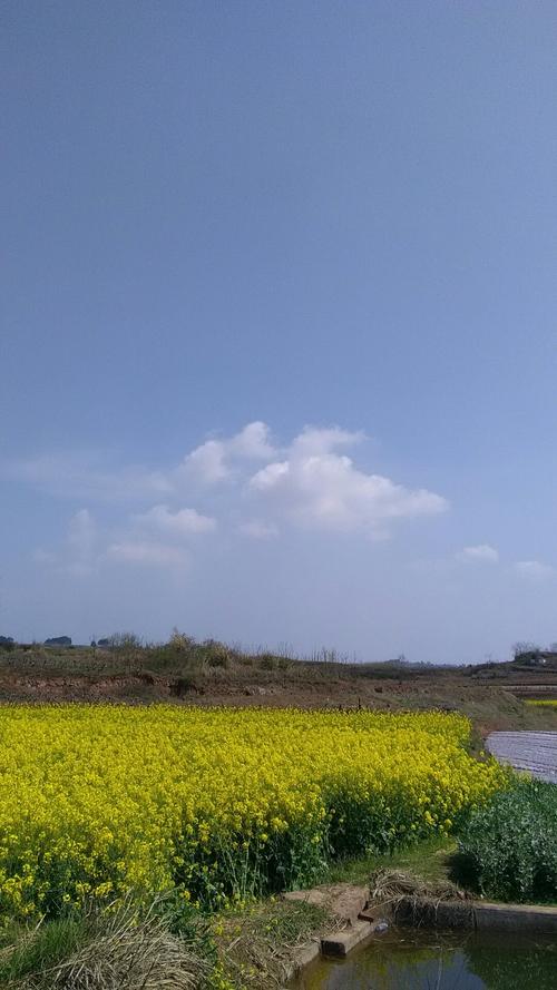 涧溪镇天气预报更新通知