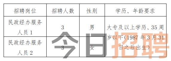 昭通市商务局最新招聘信息全面解析