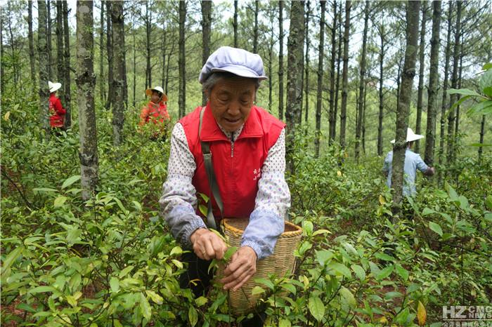 茶地乡最新新闻速递